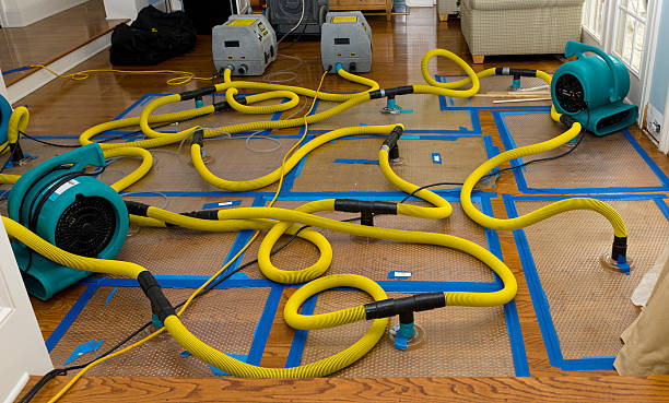 Professional Crawl Space Water Removal technician working in Costa, WV